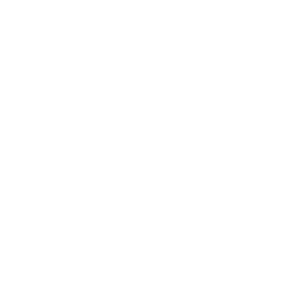 Logo B-Verse